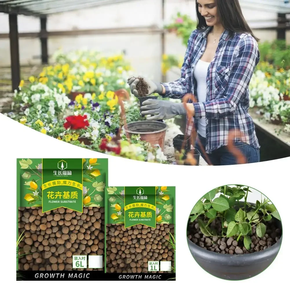 Clay Pebble Growing - Support de fleurs pour pot de