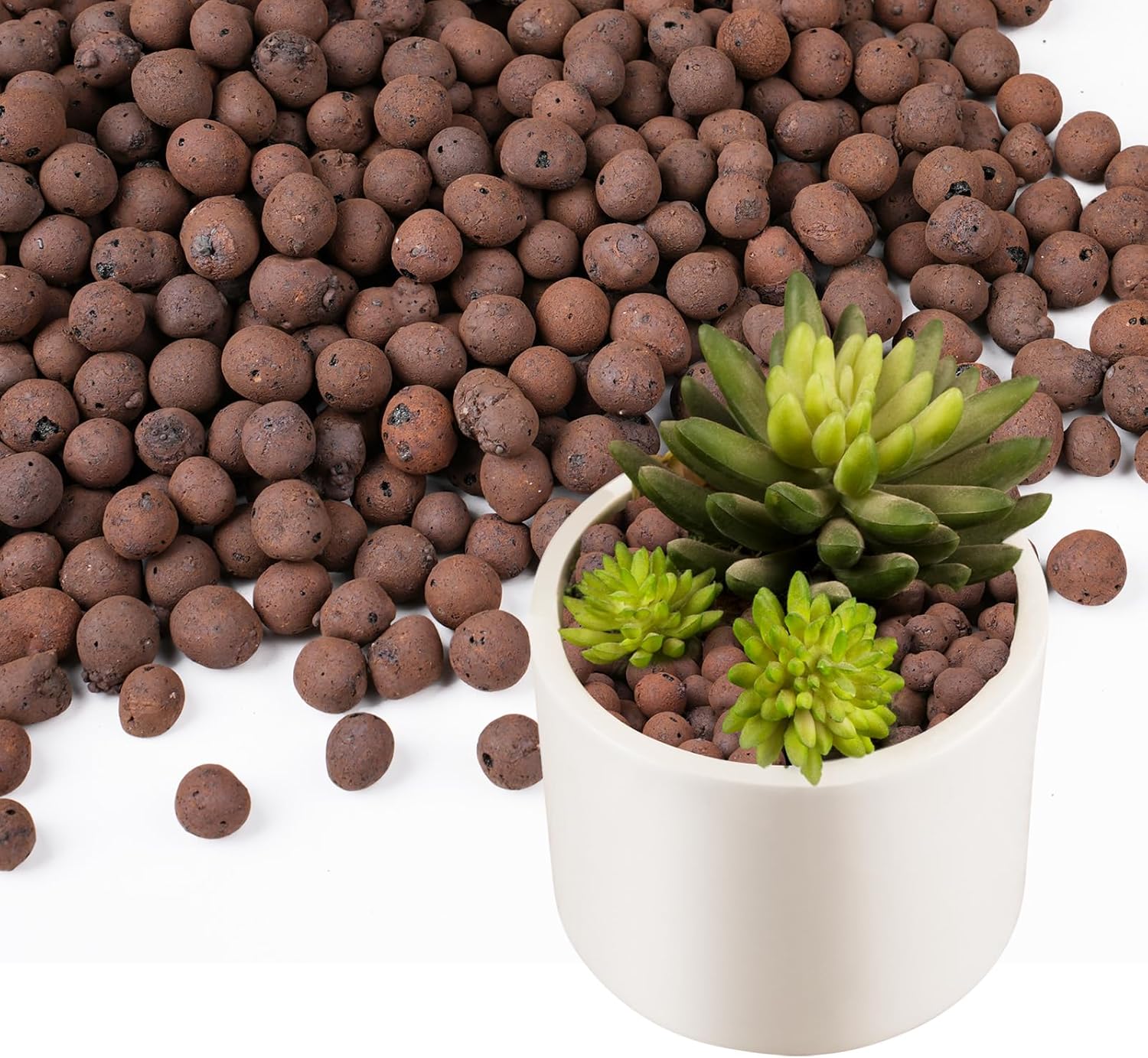Clay Pebble Growing - 100/200G de billes d'argile pour plantes,