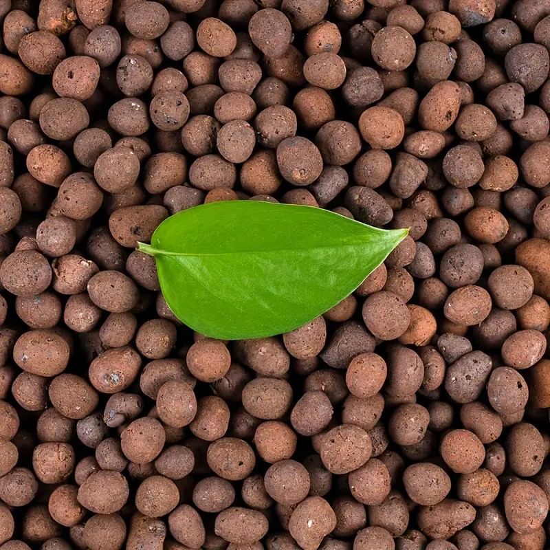 Clay Pebble Growing - Boules d'argile hydroponique réutilisables de 1