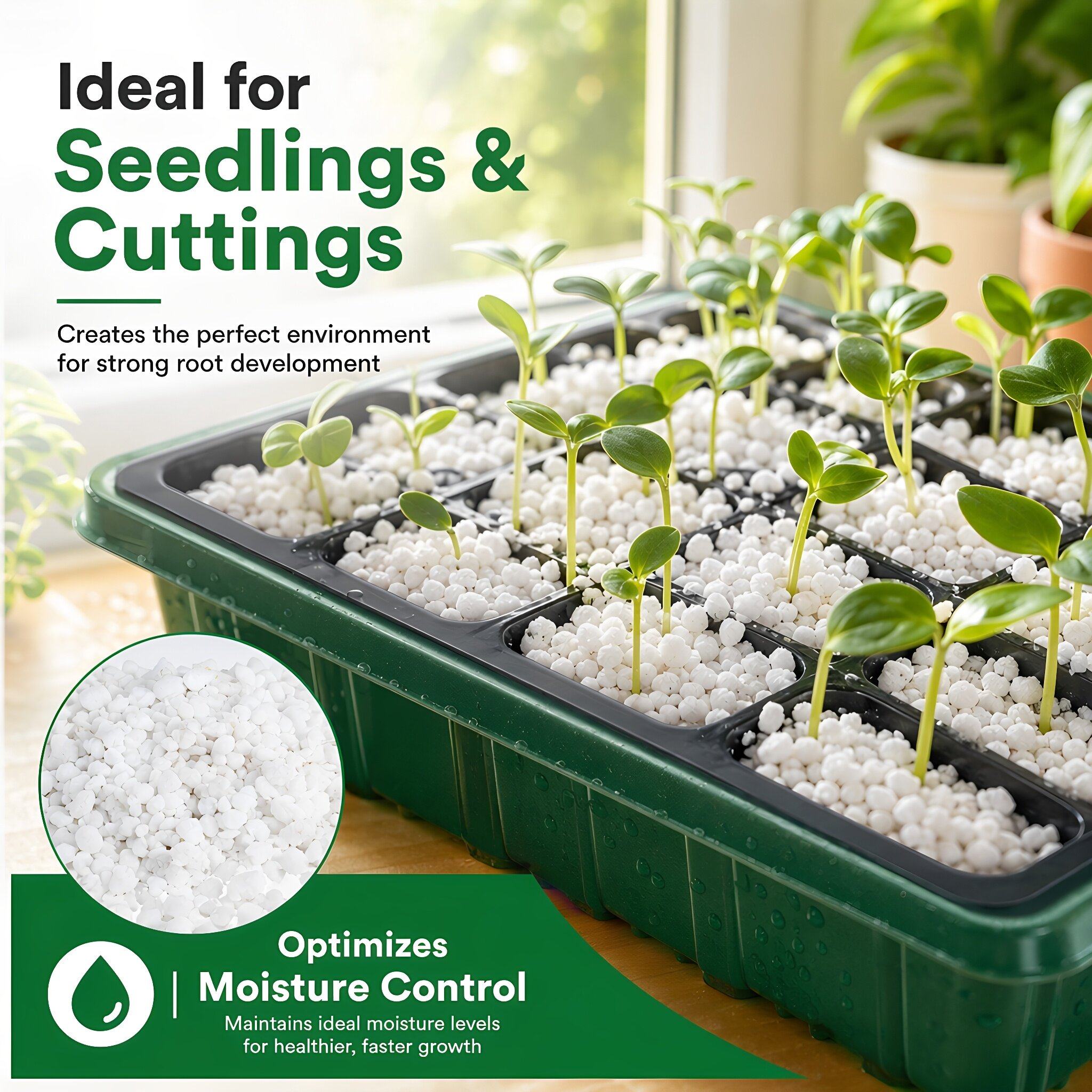 Perlite horticole de 5 litres  - Horticulture Soil Perlite avis et prix