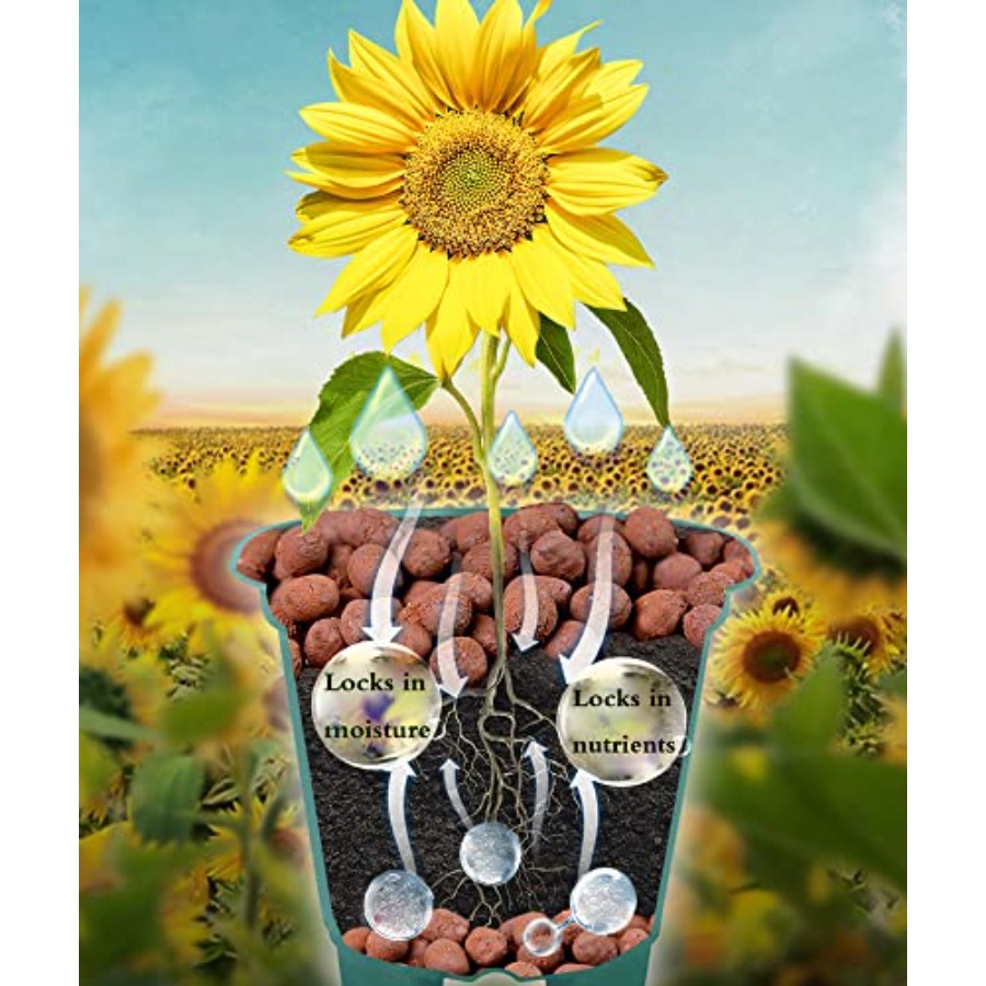 Voulosimi Granulats d'argile h - Clay Pebble Growing avis et prix