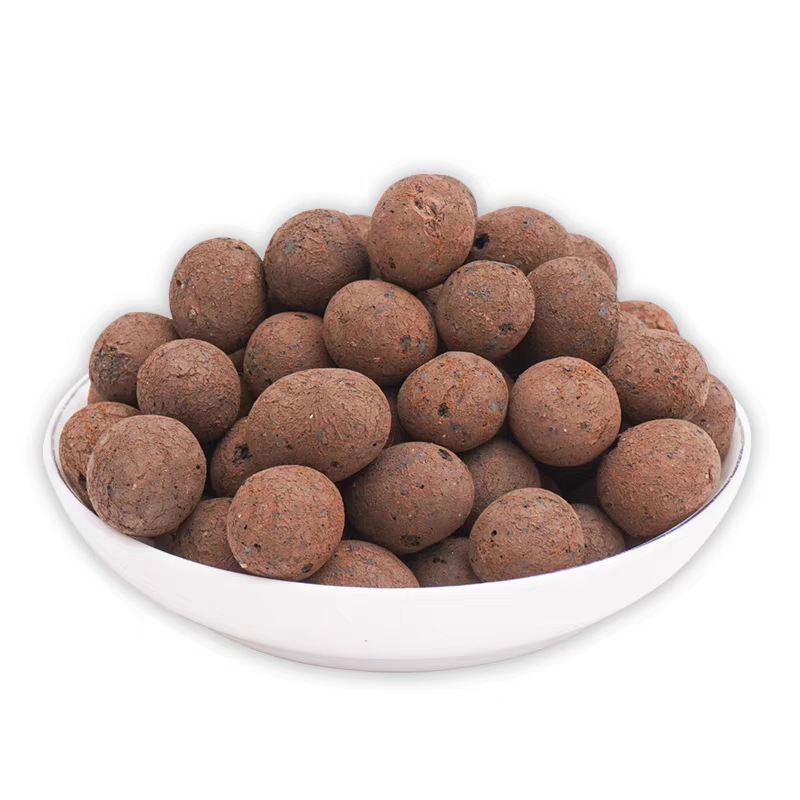 450-500g Gravier d'argile hydr - Clay Pebble Growing avis et prix