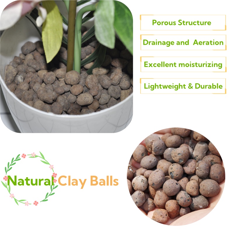 Boules d'argile organique 2L/1 - Clay Pebble Growing avis et prix