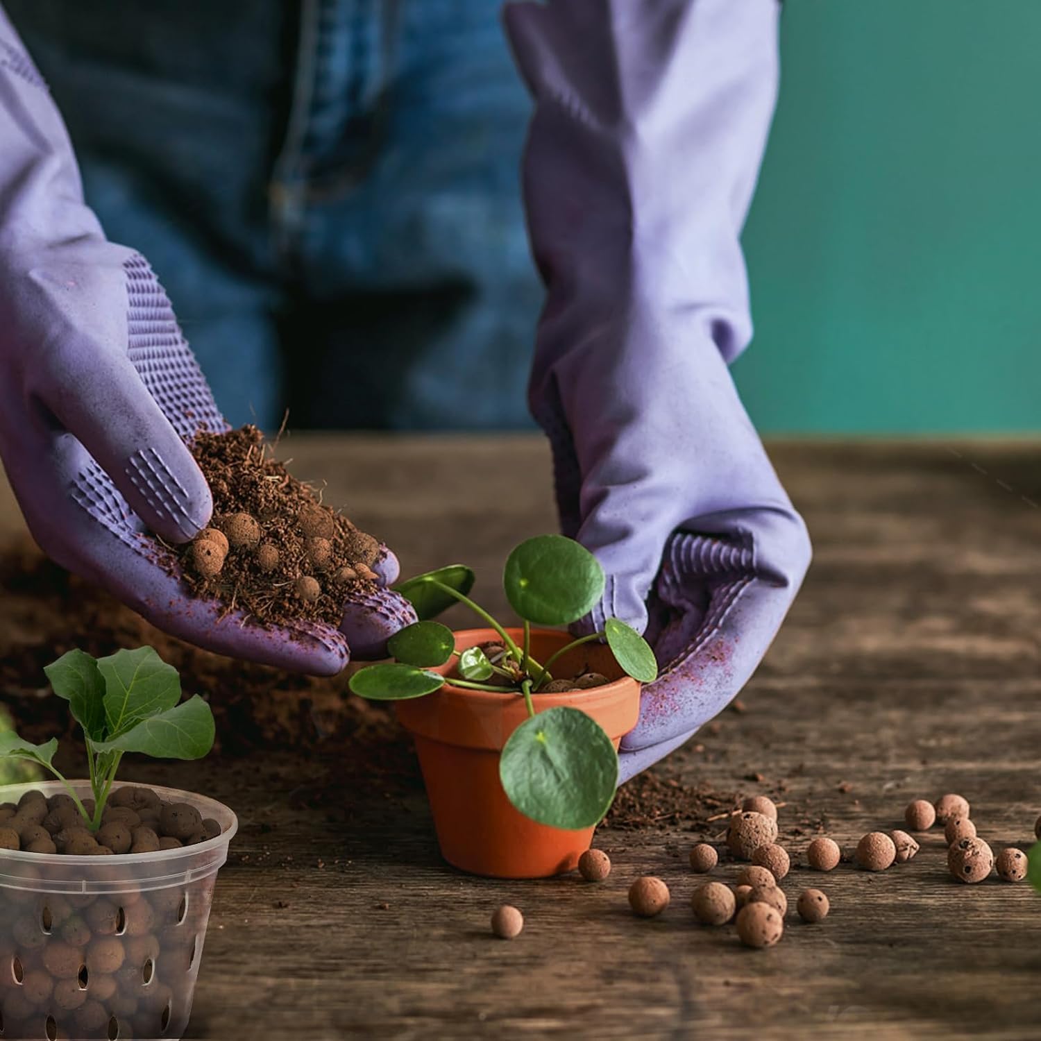 Boules d'argile organique 2L/1 - Clay Pebble Growing avis et prix