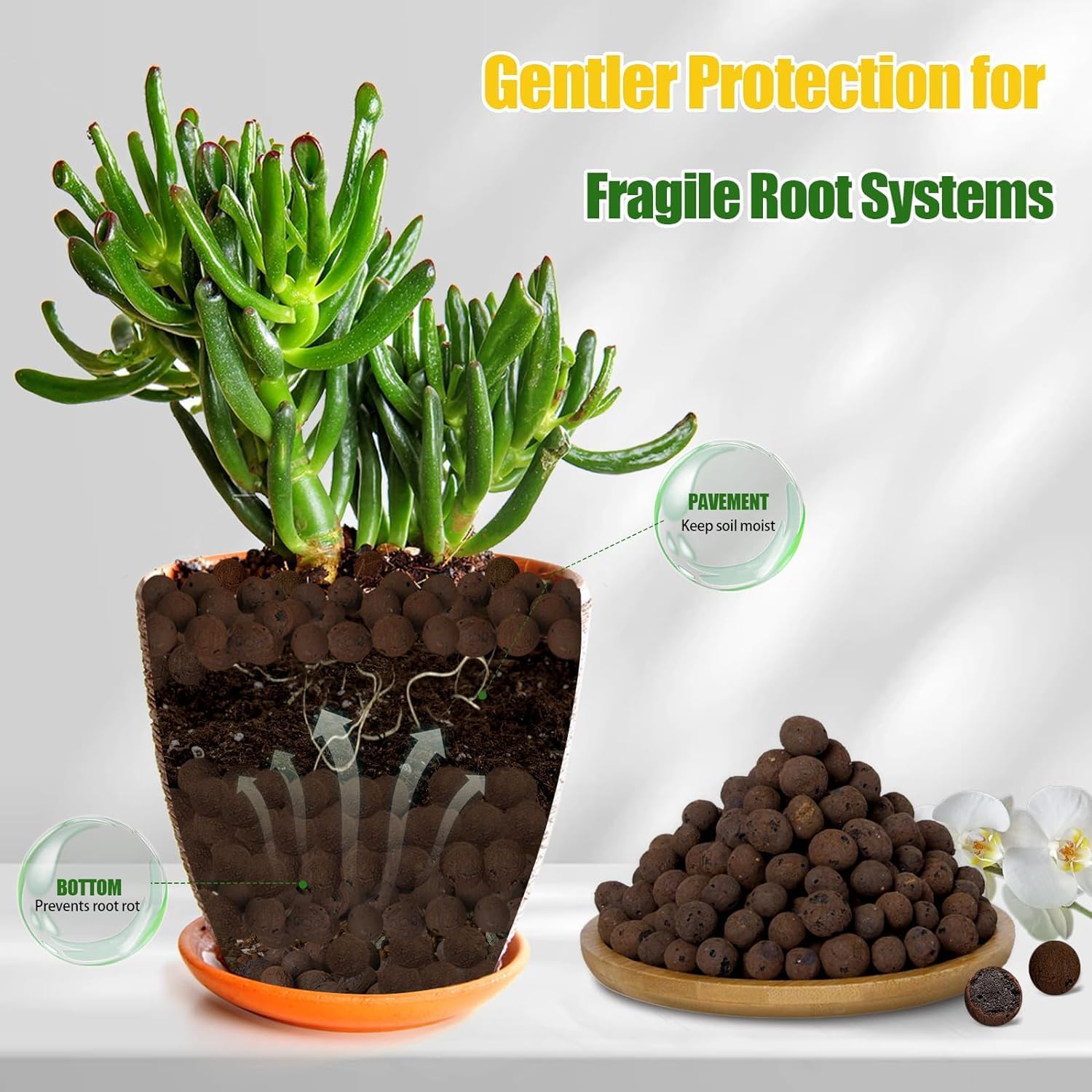 Boules d'argile organique 2L/1 - Clay Pebble Growing avis et prix