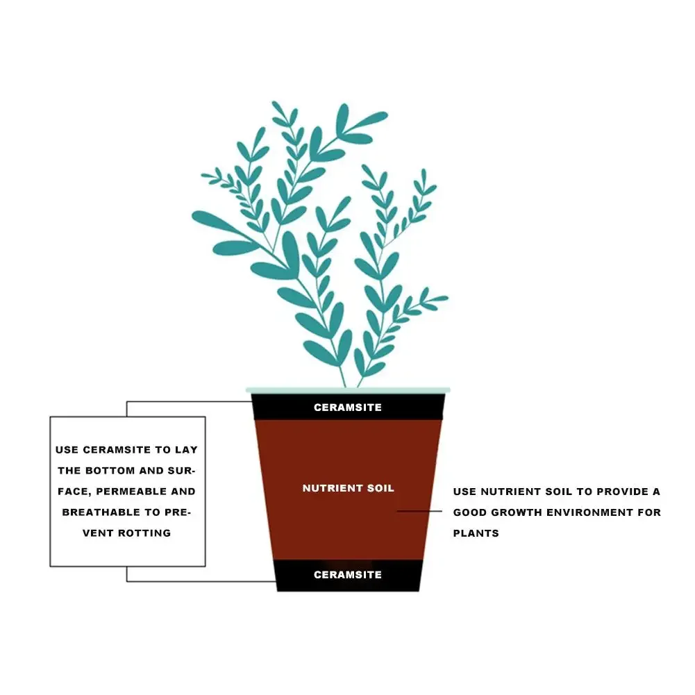 Boules d'argile naturelles exp - Clay Pebble Growing avis et prix