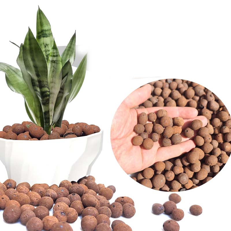 100/200/500g galets d'argile r - Clay Pebble Growing avis et prix