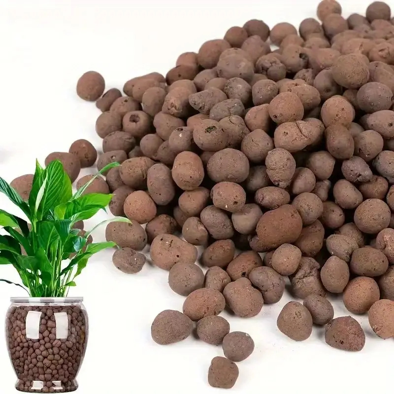 100/200/500g galets d'argile r - Clay Pebble Growing avis et prix