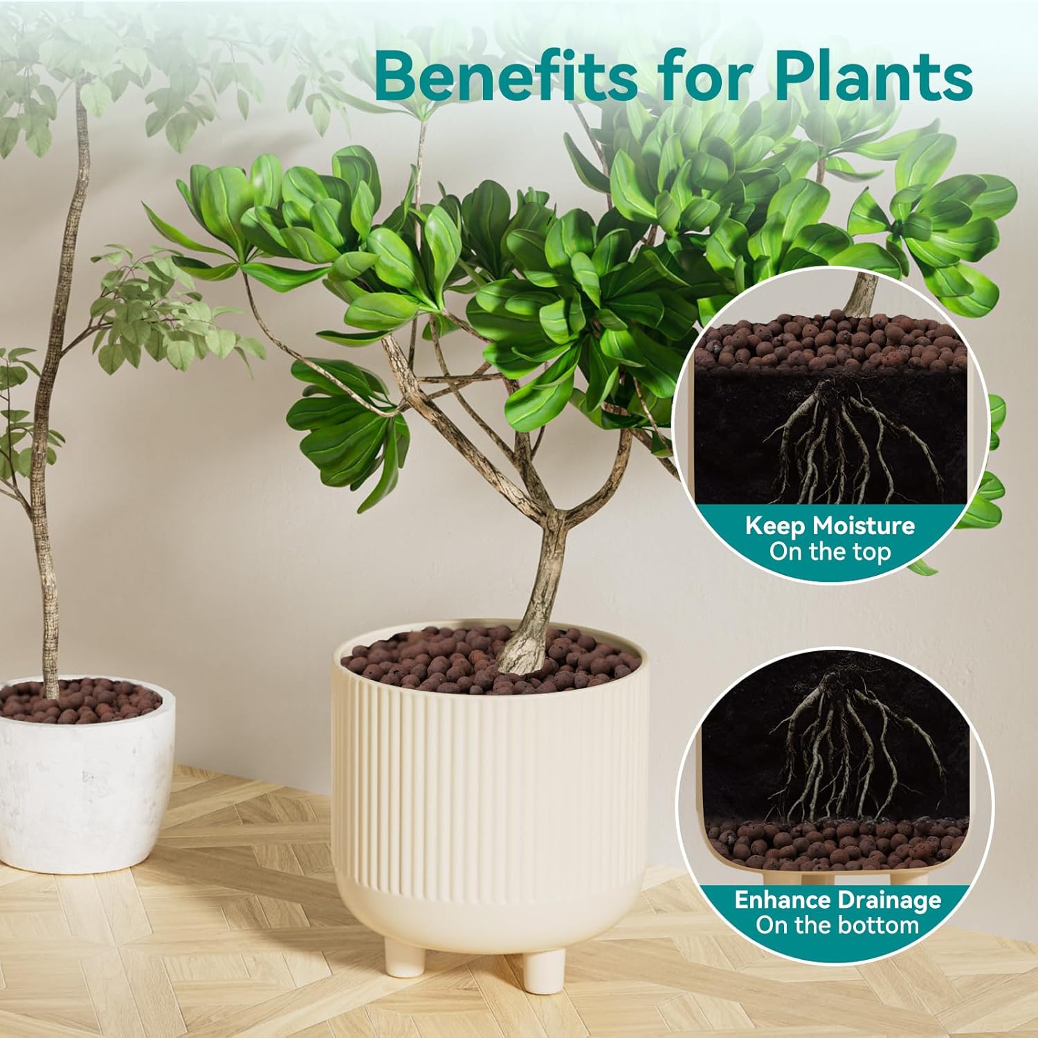 100/200G de billes d'argile po - Clay Pebble Growing avis et prix