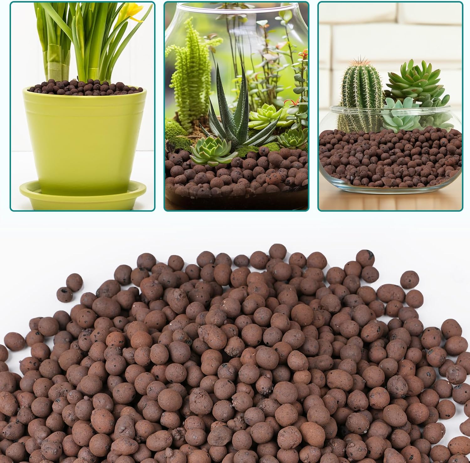 100/200G de billes d'argile po - Clay Pebble Growing avis et prix