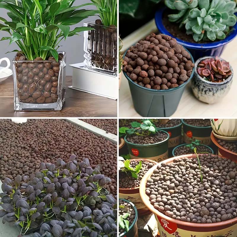 100/200G de billes d'argile po - Clay Pebble Growing avis et prix