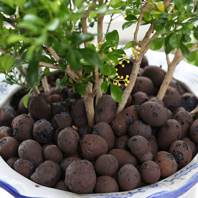 Pochoir en Argile de Ceramsite - Clay Pebble Growing avis et prix
