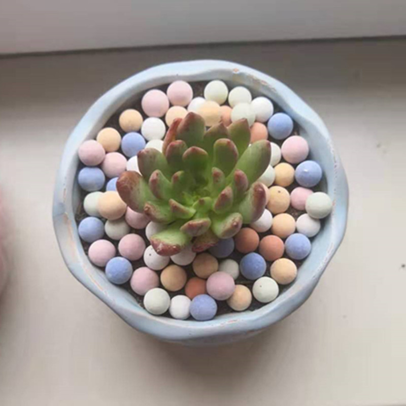 Cailloux d'argile expansée en  - Clay Pebble Growing avis et prix